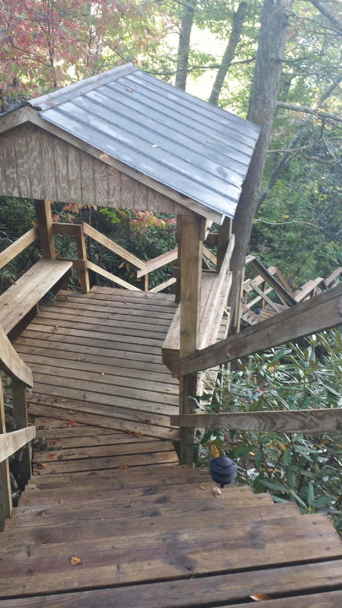 Metal roofed shelter over wooden steps on a wooded walkway — Skylight Repair & Installation work by our crew in San Jacinto